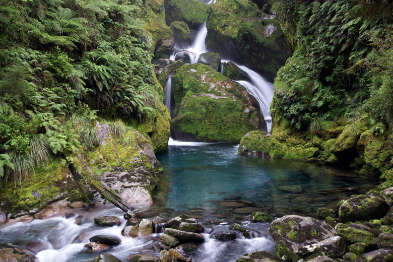 Milford sound outlet hiking trails